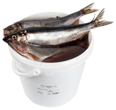 Herring salted, 1 peices