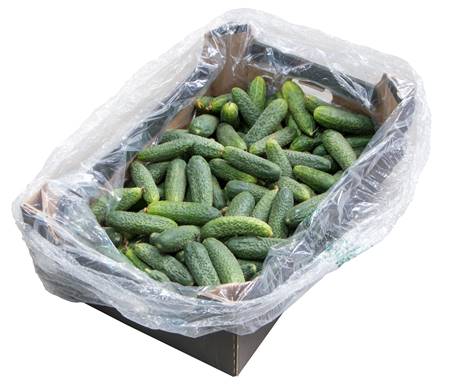 Fresh cucumbers, 500 g