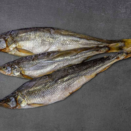 Poisson-lézard Brushtooth, séché à l'air et salé, 36 g